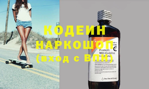 стаф Аркадак