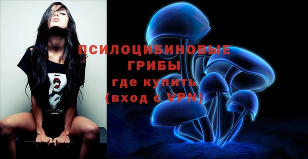 хмурый Армянск