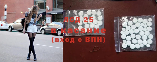 стаф Аркадак