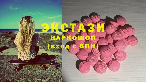 стаф Аркадак