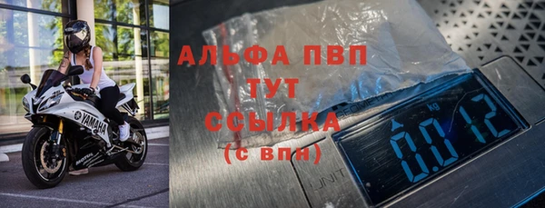 стаф Аркадак