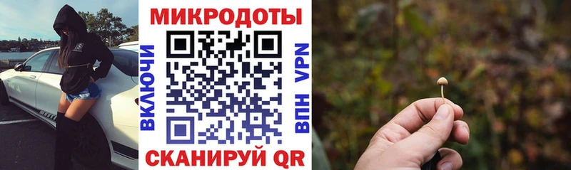 Галлюциногенные грибы Psilocybine cubensis Ревда