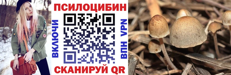 Псилоцибиновые грибы Psilocybe Ревда